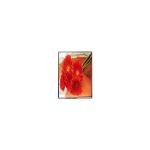 AUO 3.5 inch A035QN02 V0 LCD SCREEN for sale