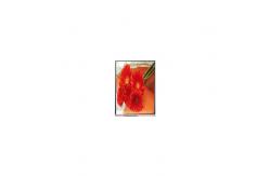 China AUO 3.5 inch A035QN02 V0 LCD SCREEN supplier