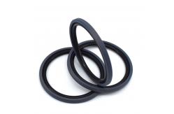 China Hydraulic Piston SPGO Seal / Glyd Ring Compact Rod Piston Seals supplier