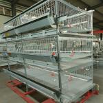 Auto Farm Battery System In Poultry , HDG 150/200 Chicken Broiler Equipment for sale