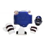 OEM ODM taekwondo protection kit Martial Arts Training Equipment for sale