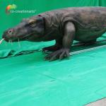 Realistic Animatronic Komodo Dragon With Dynamic Motion & Natural Habitat Detailing