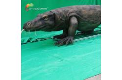 China Realistic Animatronic Komodo Dragon With Dynamic Motion & Natural Habitat Detailing supplier