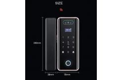 China 3D Face Recognition Electronic Glass Door Lock Fingerprint Password Lock supplier