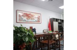 China Wearable LCD Display manufacturer