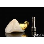 Long-Lasting Implant Crown And Bridge For Restoring Missing Teeth Suitable For Dental Implants for sale