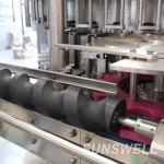 Fully Automatic Plastic Beverage Filling Machine Glass Bottled Soft Drink Dual Capping