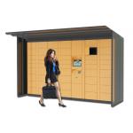 Automatic Barcode Luggage Rental Lockers , Indoor Electronic Lockers For Park Supermarket for sale