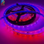 WS2811 Programmable RGB LED Pixel Tape 60 Leds 12V Strip Remote Control Addressable Color for Garden Decoration KTV club for sale
