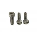 Polished M1-M10 Titanium Slotted Cheese Head Screws Manufacturers and Suppliers for sale
