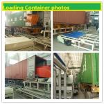 PLC Control Full Automatic Mgo Board Machine With 2000 Sheets Capacity CE for sale