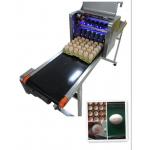 Intelligent Automatic Inkjet Marking Machine For 30 Holes Entire Pallet Eggs for sale
