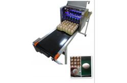 China Eggs Continuous Inkjet Printer With Date Automatically Updated Programme supplier