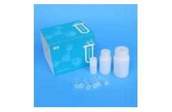 China Mitochondrial Magnetic Bead DNA Extraction Kits Rapid Efficient For PCR supplier