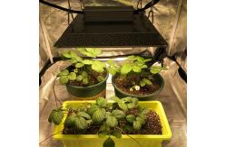 China Knob Dimming Full Spectrum 2x2 LED Grow Light supplier