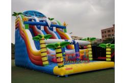 China Digital Printing Palm Tree 2hp Inflatable Bouncer Slide supplier