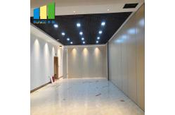 China Customized Size PVC Foldable Acoustic Partition Wall For Meeting Room supplier
