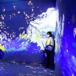 Immersive Projector 360 Projections Of Artworks Events Display Immersive Projection for sale