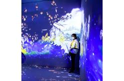 China Immersive Holographic Restaurant Immersive Holographic Projector Wedding Hall Projection supplier
