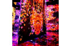 China Modern Luxury Immersive Interactive Wall / Floor Laser Projection For Exhibition supplier