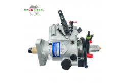 China Diesel Fuel Injection Pump DB2435-5835 DB24355835 RE519019 DB2435-5219 DB4429-5281 supplier