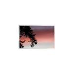 G185HAN01.104 18.5 inch 1080p LCD Screen Display for sale