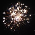 Wholesale Outdoor Pyro 1000G Cake Fireworks 2 Inch 56 Shots Wedding Celebration 1.4 Pro Fireworks for sale