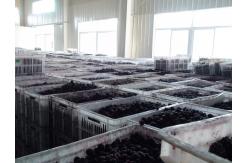 China High Speed Fruit Juice Processing Line Scraper Film Evaporator Environmental Protection supplier