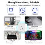 Power Intelligent Tuya Smart Socket SDK Remote Control Power Socket