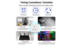 China Power Intelligent Tuya Smart Socket SDK Remote Control Power Socket supplier
