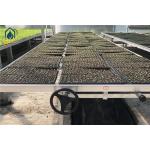Stackable Galvanized Mesh Seed Bench Agriculture Rolling Tables For Greenhouse