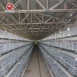 A Type Q235 Steel Baby Chicken Cage Hot Galvanized wire mesh for sale