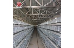 China 200 Chickens / Set Poultry Chicken Cage Coops Animal Farming Tools And Functions supplier