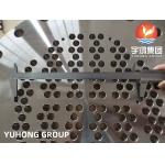 ASTM A182/ ASME SA182  F51, F53, F60, F55 Duplex or Super Duplex Tubesheet for sale