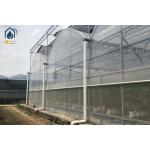 Vegetables Multi Span Agricultural Greenhouse Plant Plastic Film Greenhouse for sale