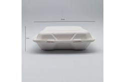 China 900ml Biodegradable Takeout Containers , Microwavable Biodegradable Takeaway Boxes supplier