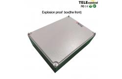 China EF24-6D Radio Remote Control System Flame Proof For Explosion Risk Area supplier
