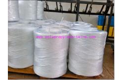 China 2MM Polypropylene Twisted PP Baler Twine For Square Hay Baler Machine supplier