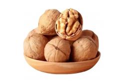 China China Fastest Shipping and Freshest Natural 185 Walnut kernel without shell supplier