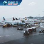 Warehousing FBA Forwarding Service From China To Canada Germany Japan for sale
