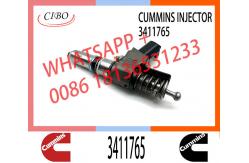 China Diesel N14 Common Rail Fuel Injector 3411765 3411766 3652541 3411767 3652542 supplier