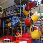 Large Safe Indoor Playground Ocean Themed Kids Indoor Parks for sale