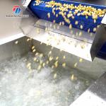 Streamline Your Manufacturing Process with Our Advanced Fruit And Vegetable Processing Line