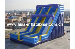 China Beach Rental Inflatable Water Slide With Dual Lanes For Water Amusement supplier