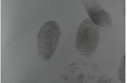 China C095 Gray fingerprint powder supplier