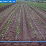 Agriculture Trigger Drip Irrigation Parts Greenhouse Irrigation System For Greenhouse for sale