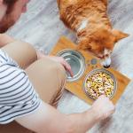 Collapsible Wooden Raised Dog Feeder Anti Skid At Home for sale