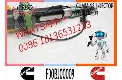 China Engineering Machinery QSK19 Truck Engine System Accessories F00BJ00009 Diesel Fuel Injector supplier