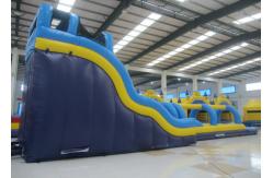 China Giant water slides inflatable slides water park amusement park party supplier
