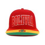 3D Embroidery Red Flat Brim Snapback Hats Custom Symbol